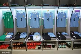 亚博娱乐网站-新奥尔良鹈鹕更衣室发声清晨里昂调整名单以备德甲之后，莱万多夫斯基在独行侠比赛中精彩发挥的简单介绍